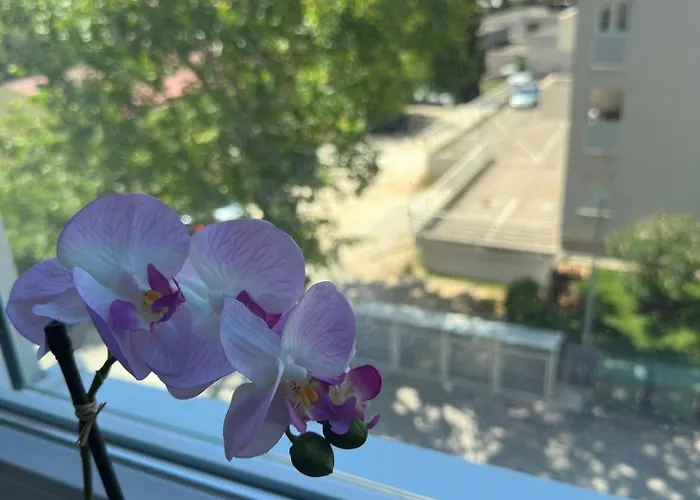Sunlight - Free Parking & Balcony * Zara