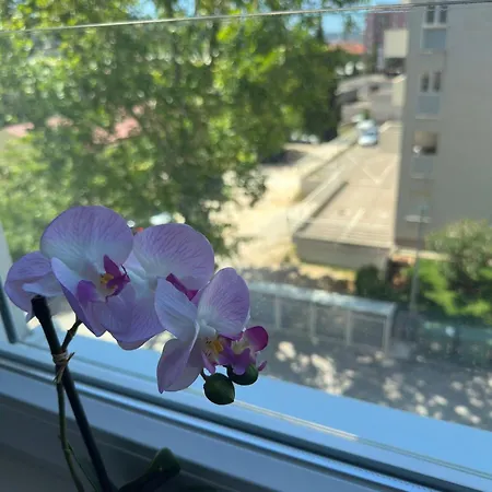 Sunlight - Free Parking & Balcony * Zadar